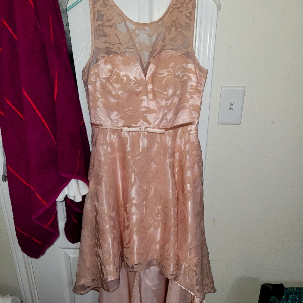 Pink Dress